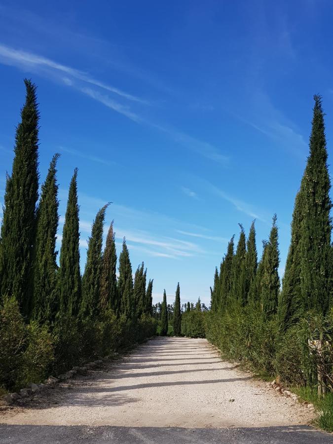 Le Mas De Paulette Mézoargues Esterno foto